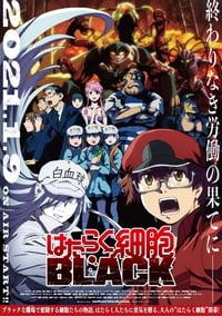 Hataraku Saibou Black (TV)