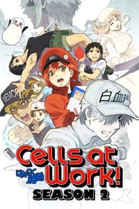 Hataraku Saibou!! Season 2