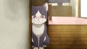 Doukyonin wa Hiza, Tokidoki, Atama no Ue. Episode 1 - 12 Subtitle Indonesia