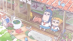 Poputepipikku (Pop Team Epic) Special Episode  Subtitle Indonesia