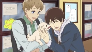 Sanrio Danshi Episode 1 - 12 Subtitle Indonesia